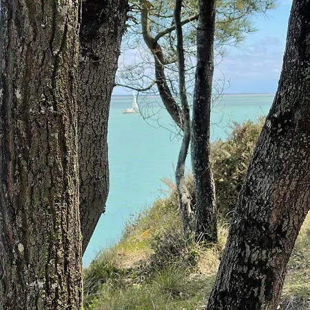 Appt Centre 50m De La Apartamento *